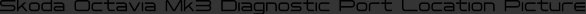 Skoda Octavia Mk3 Diagnostic Port Location Picture